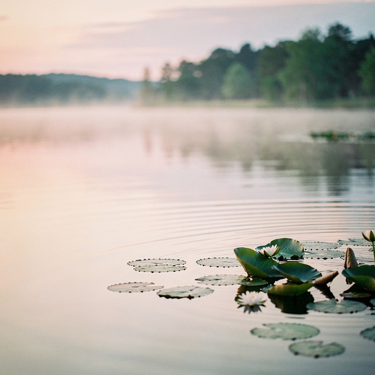 A serene landscape of a tranquil lake at dawn, with a few wa... | ShopAyahuascaRetreats