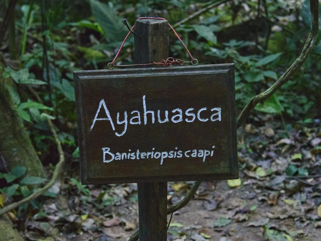 Side Banner Image 3