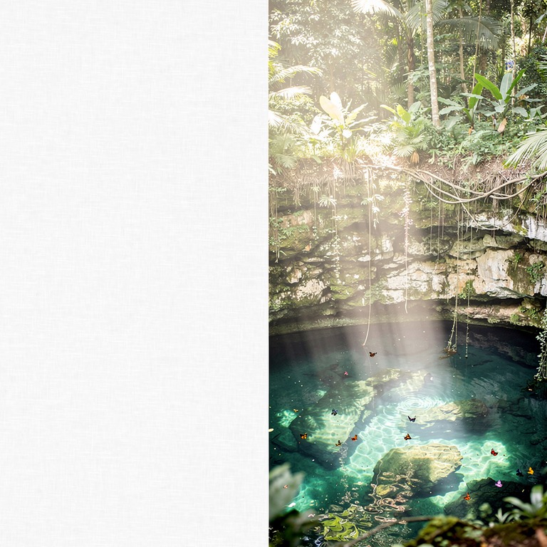 Cenote opening in dense jungle, sunlight piercing down to cl... | ShopAyahuascaRetreats