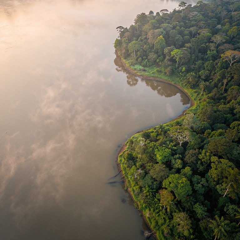 Misty Amazonian river snaking between dense forested banks a... | ShopAyahuascaRetreats