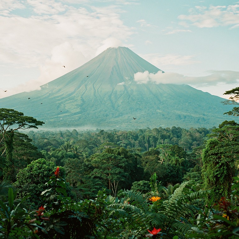 Volcano with rainforest blanketing its lower slopes | ShopAyahuascaRetreats