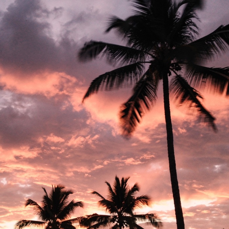 A dramatic sky at sunset, with storm clouds and vibrant hues... | ShopAyahuascaRetreats