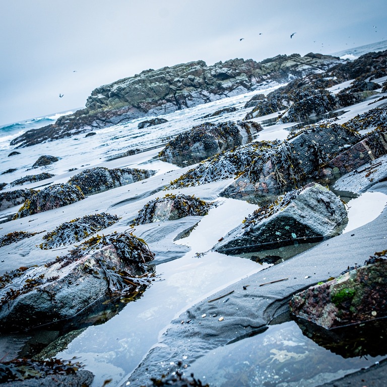 A rugged, rocky shoreline at low tide, with tide pools and s... | ShopAyahuascaRetreats