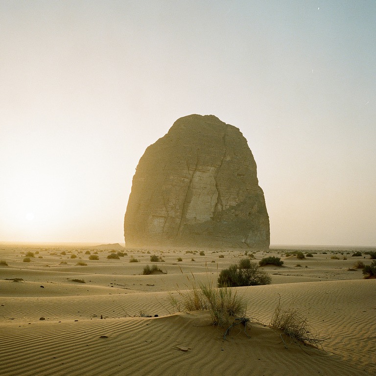A vast, serene desert landscape at dawn, with a massive, anc... | ShopAyahuascaRetreats
