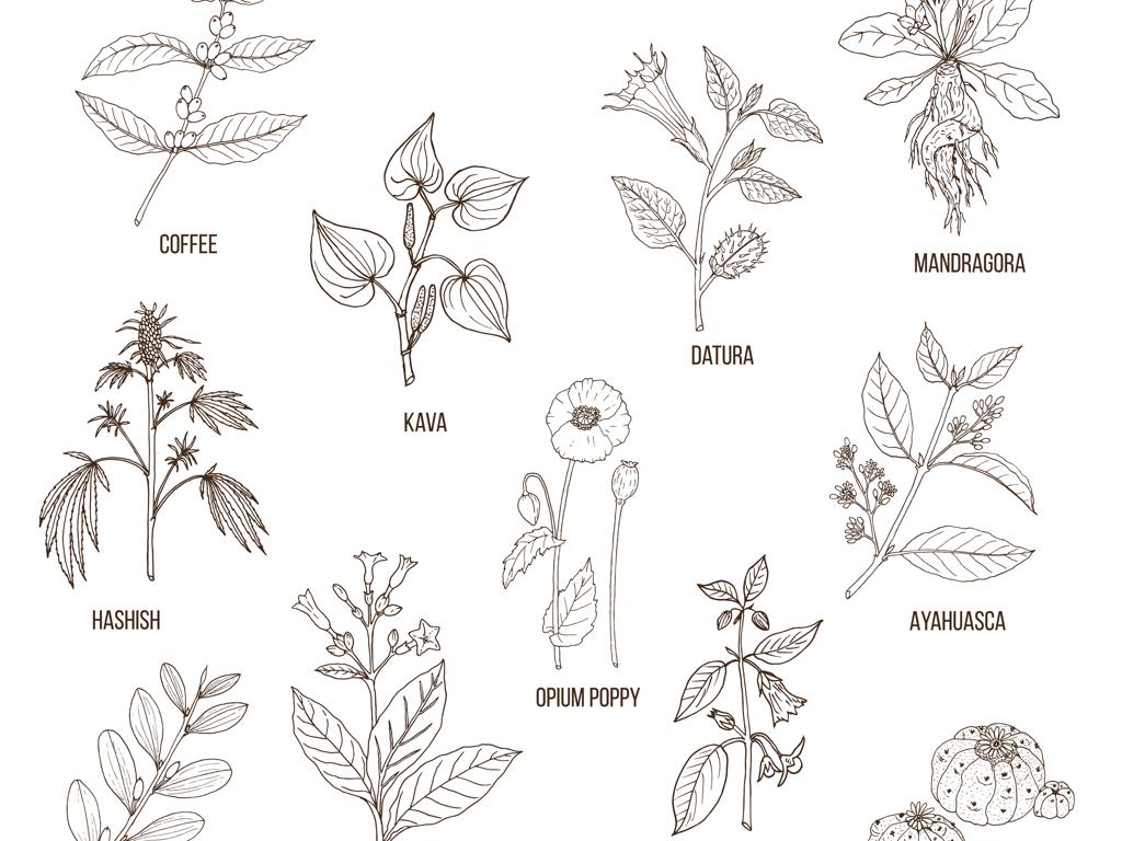 Side Banner Image 3