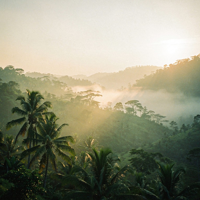 Mist hanging low over a tropical valley at sunrise | ShopAyahuascaRetreats