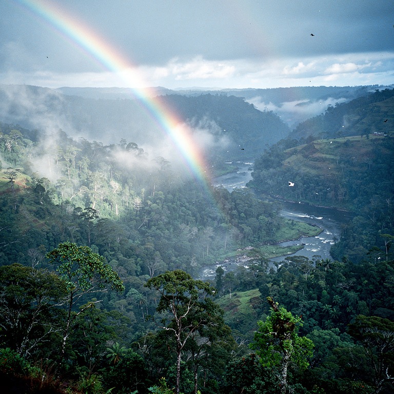 Rainbow arching over a misty rainforest valley after a storm | ShopAyahuascaRetreats
