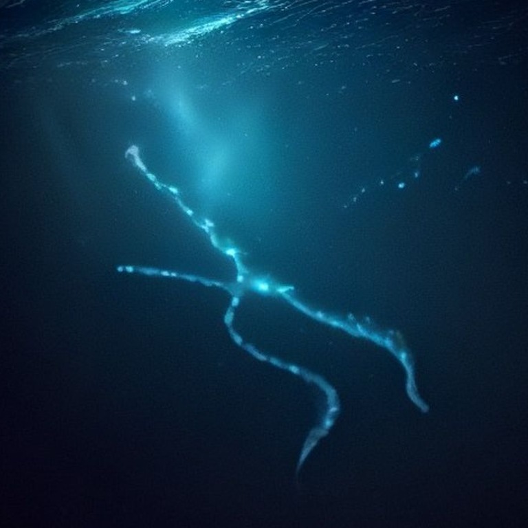 A schools of bioluminescent fish swim through a dark, calm o... | ShopAyahuascaRetreats