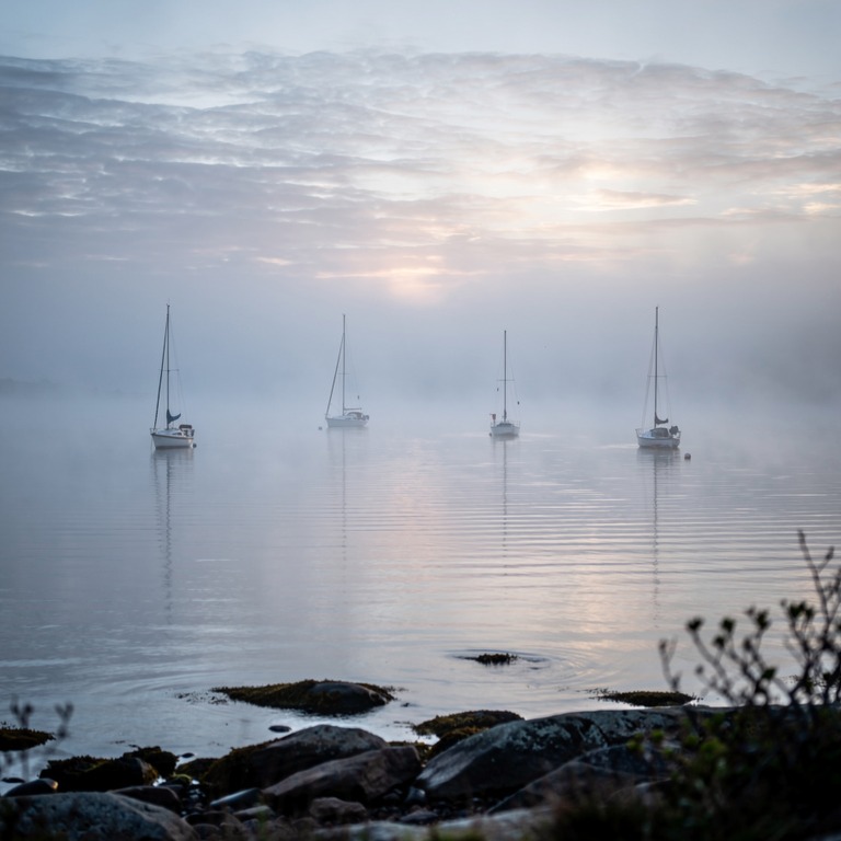 A serene landscape of a calm bay at sunrise, with a few sail... | ShopAyahuascaRetreats