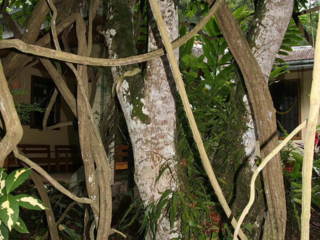Side Banner Image 4