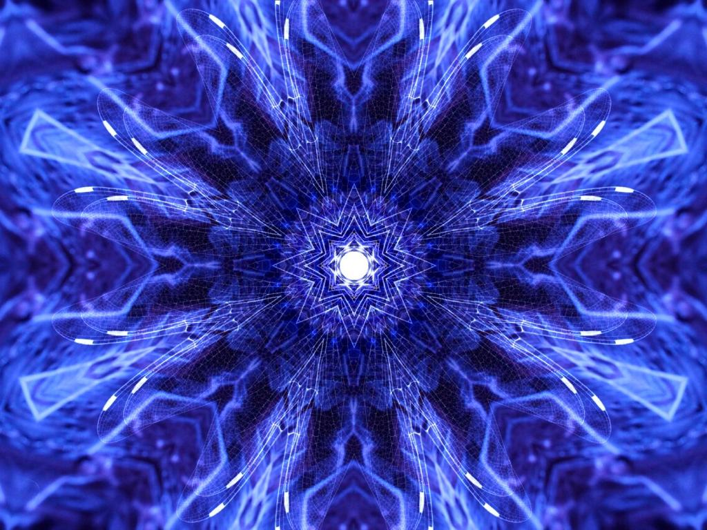 Side Banner Image 4