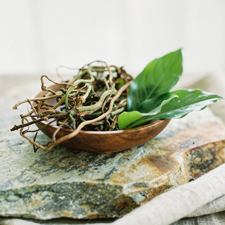 A bowl of freshly harvested ayahuasca vines and leaves on a ... | ShopAyahuascaRetreats