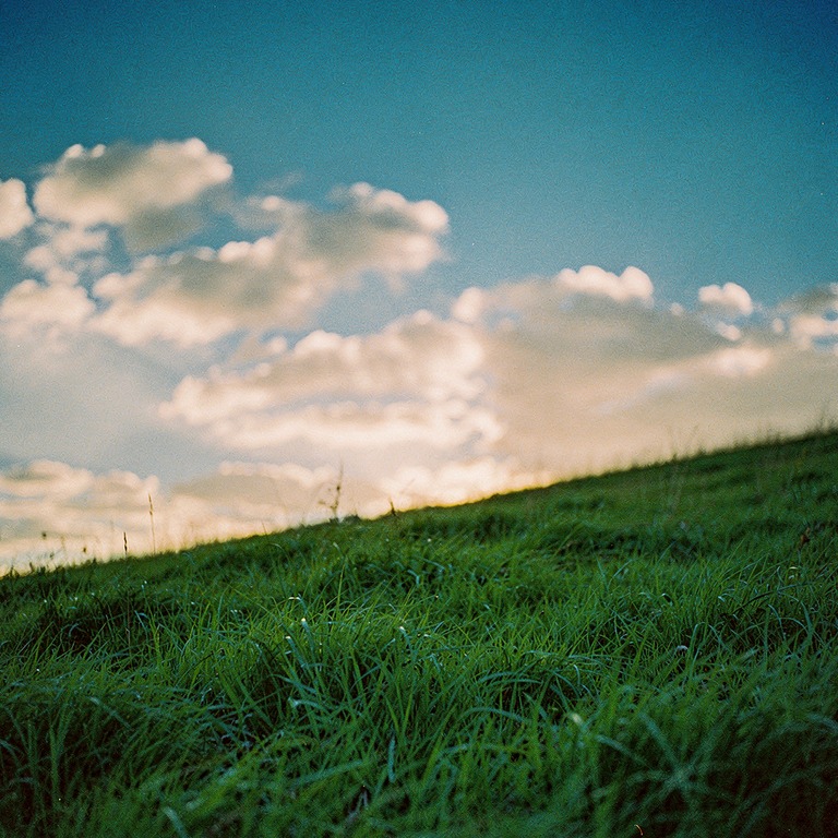 A peaceful, rolling hillside covered with a soft, emerald-gr... | ShopAyahuascaRetreats