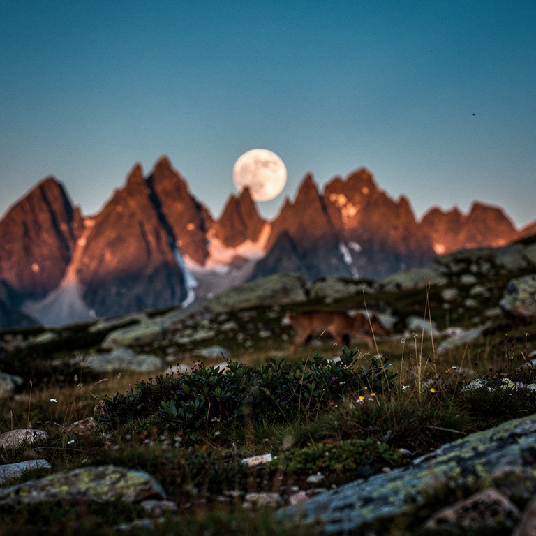 Full moon rising behind silhouetted mountain peaks | ShopAyahuascaRetreats