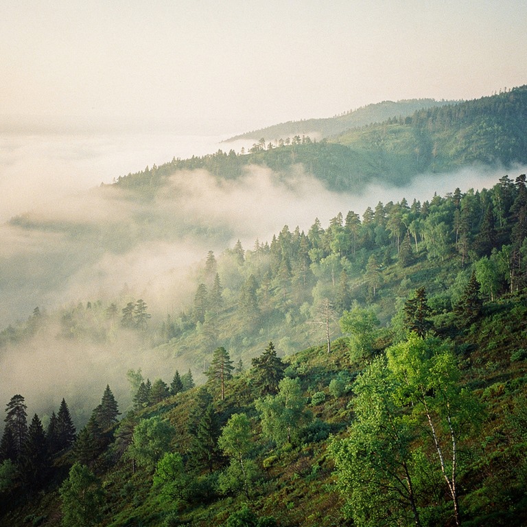 Layers of misty forested ridges fading into distance | ShopAyahuascaRetreats