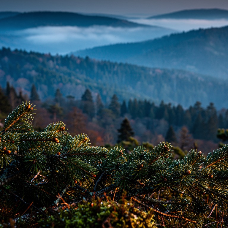 Layers of misty forested ridges fading into distance | ShopAyahuascaRetreats