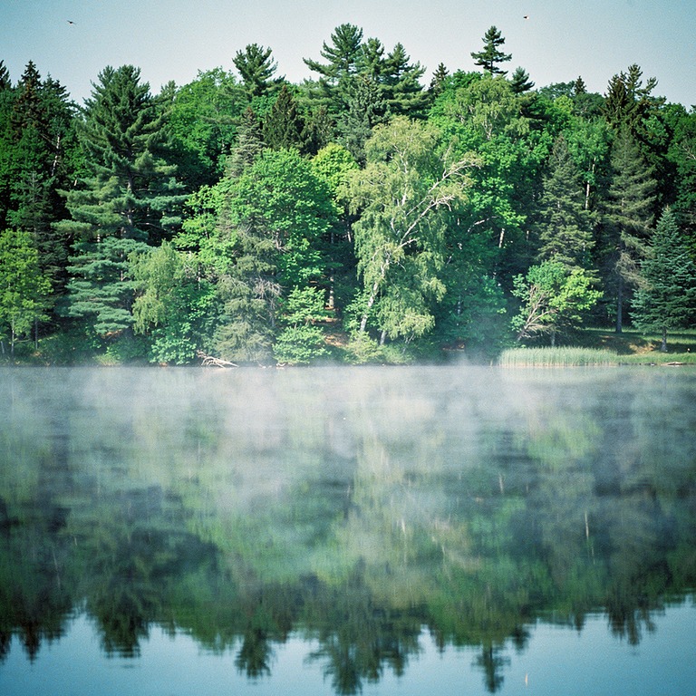 Mist rising from a calm lake, forest reflected in still wate... | ShopAyahuascaRetreats