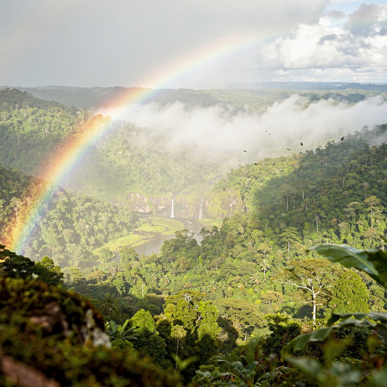 Rainbow arching over a misty rainforest valley after a storm | ShopAyahuascaRetreats