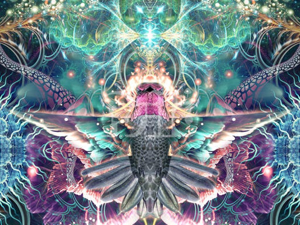 Main Banner Image