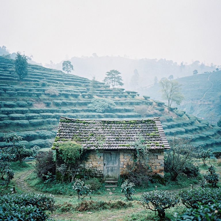 A weathered, stone cottage nestled among terraced hillsides ... | ShopAyahuascaRetreats