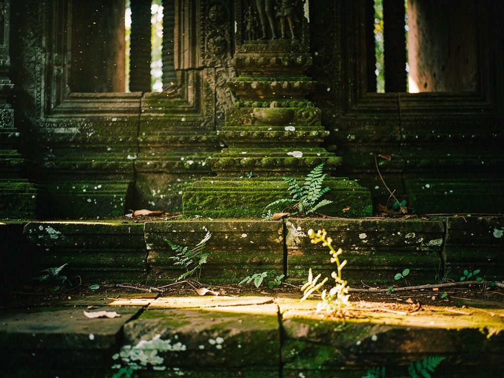 Side Banner Image 3