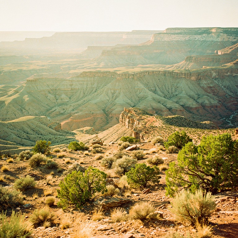 High desert mesa with long shadows at golden hour | ShopAyahuascaRetreats