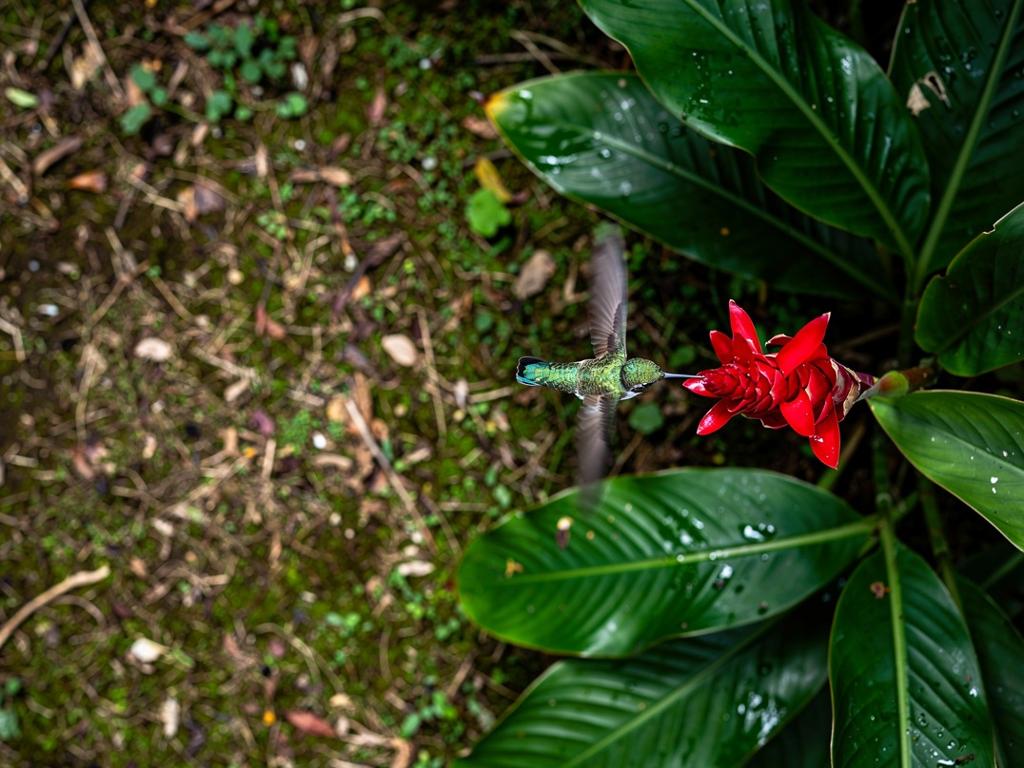 Side Banner Image 4