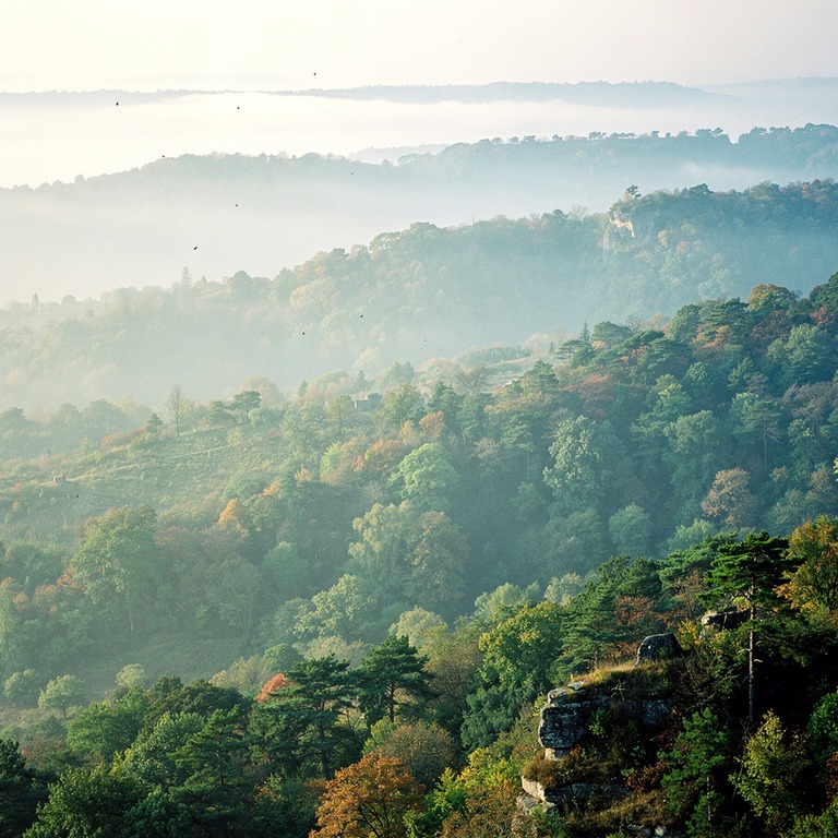 Layers of misty forested ridges fading into distance | ShopAyahuascaRetreats