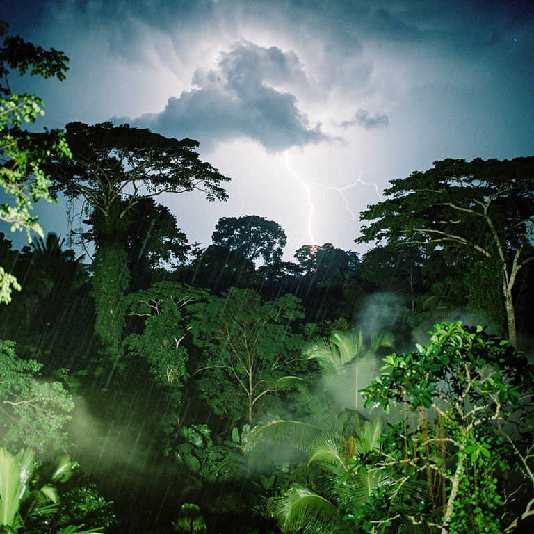 Lightning illuminating a stormy night sky above a jungle can... | ShopAyahuascaRetreats