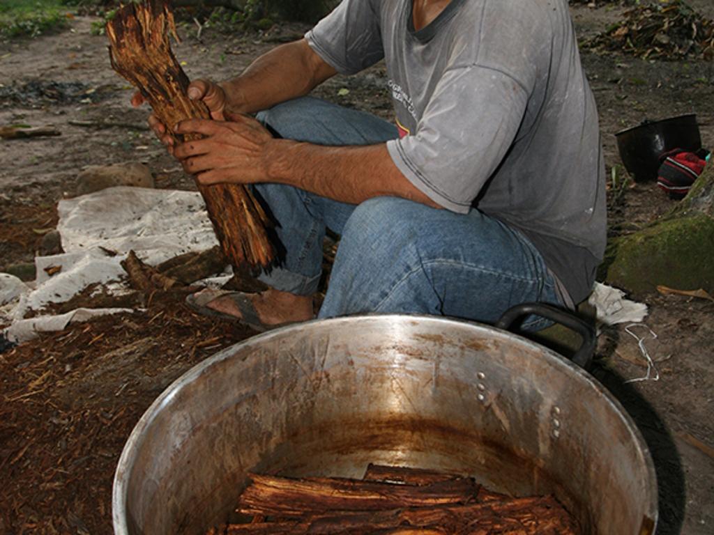 bolger image