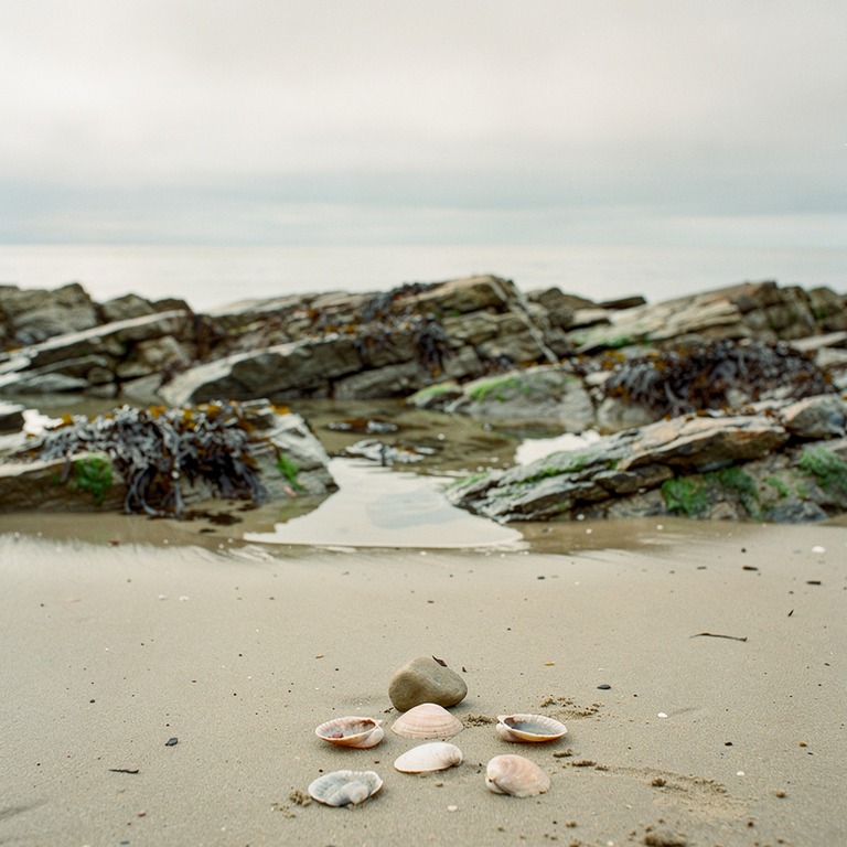 A rugged, rocky shoreline at low tide, with a few shells and... | ShopAyahuascaRetreats