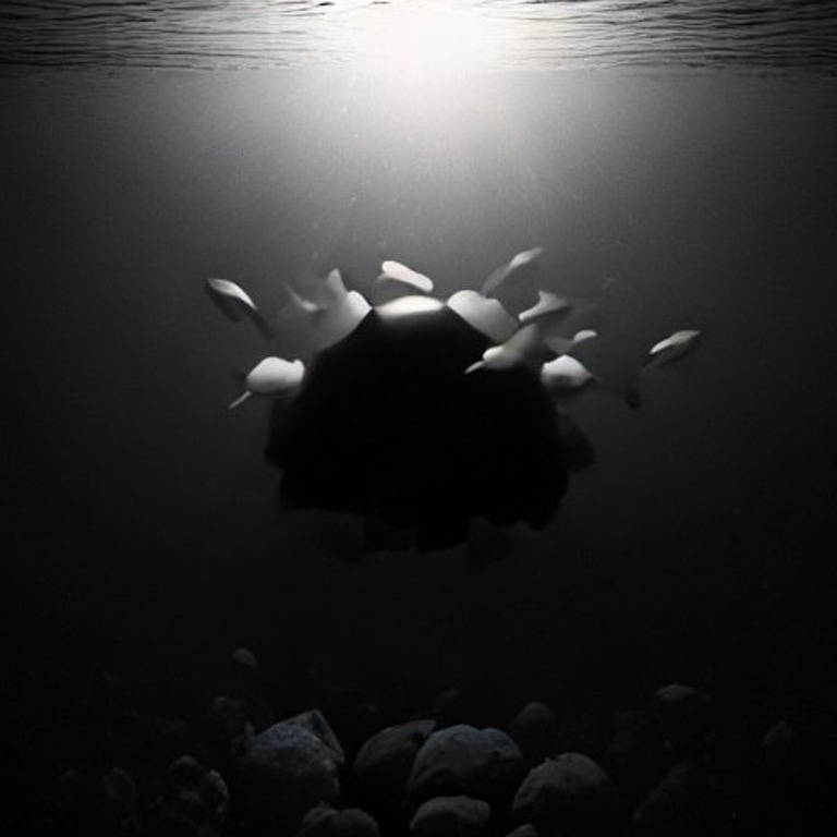 A school of bioluminescent fish swimming in the dark waters ... | ShopAyahuascaRetreats