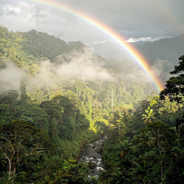 Rainbow arching over a misty rainforest valley after a storm | ShopAyahuascaRetreats