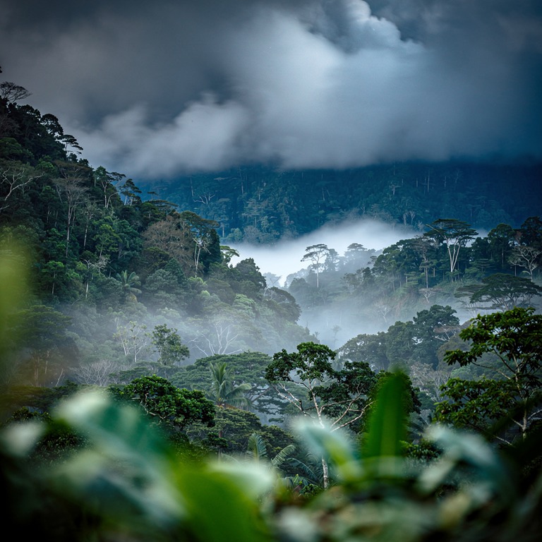 Storm clouds gathering over a rainforest valley at dusk | ShopAyahuascaRetreats