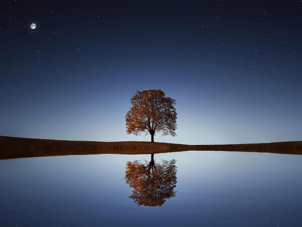 bolger image