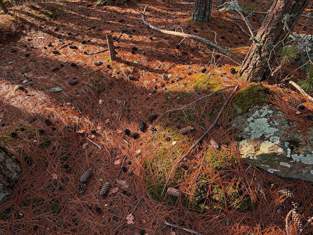 Side Banner Image 3