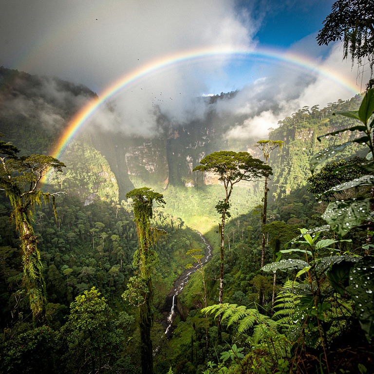 Rainbow arching over a misty rainforest valley after a storm | ShopAyahuascaRetreats