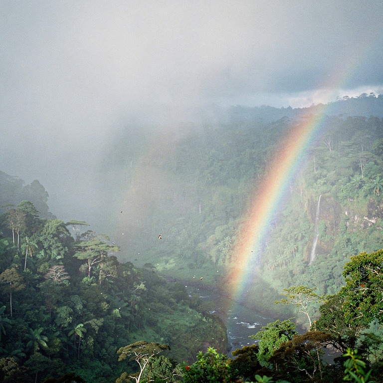 Rainbow arching over a misty rainforest valley after a storm | ShopAyahuascaRetreats