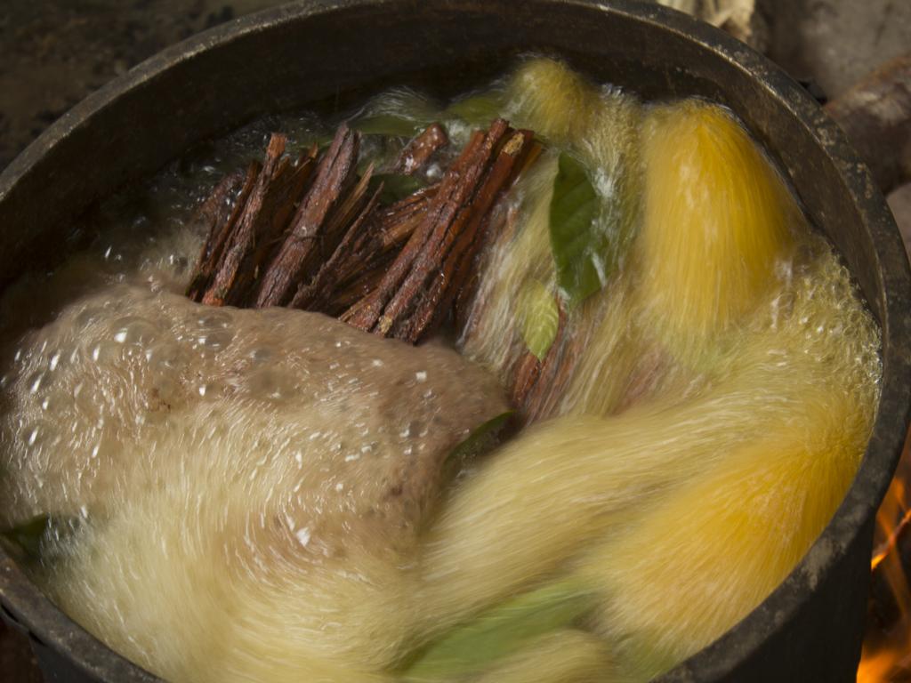 bolger image