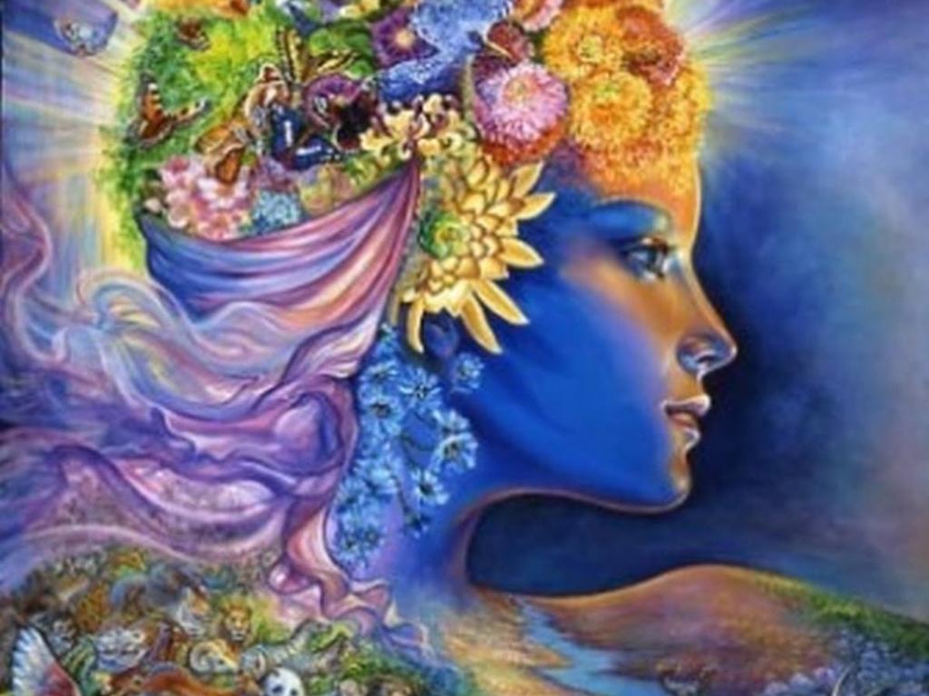 Side Banner Image 4