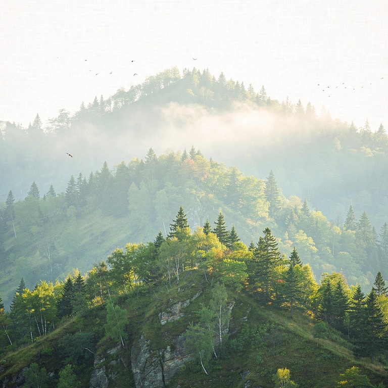 Layers of misty forested ridges fading into distance | ShopAyahuascaRetreats