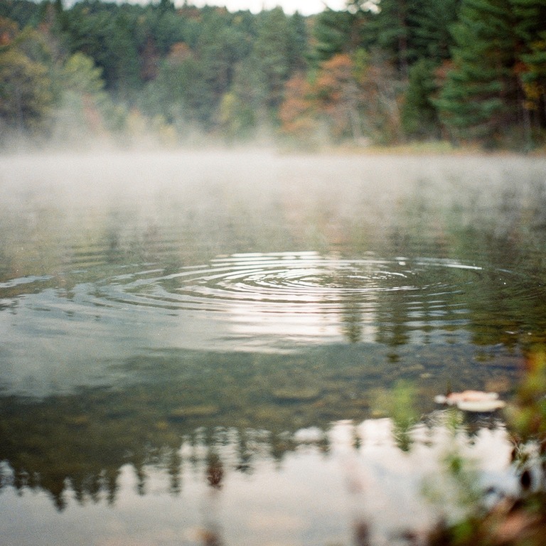 Mist rising from a calm lake, forest reflected in still wate... | ShopAyahuascaRetreats